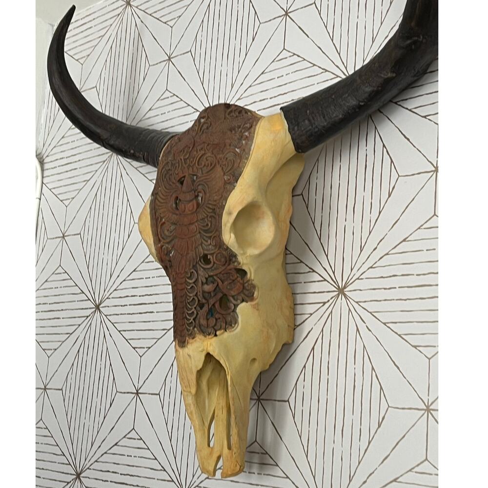 Longhorn Water Buffalo Skull Faux Taxidermi Hanging Wall Art